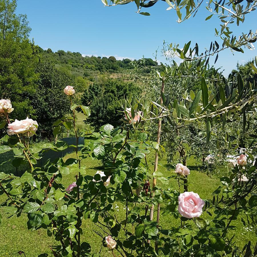 キウージ L'Albero Di Gameli Bed & Breakfast エクステリア 写真
