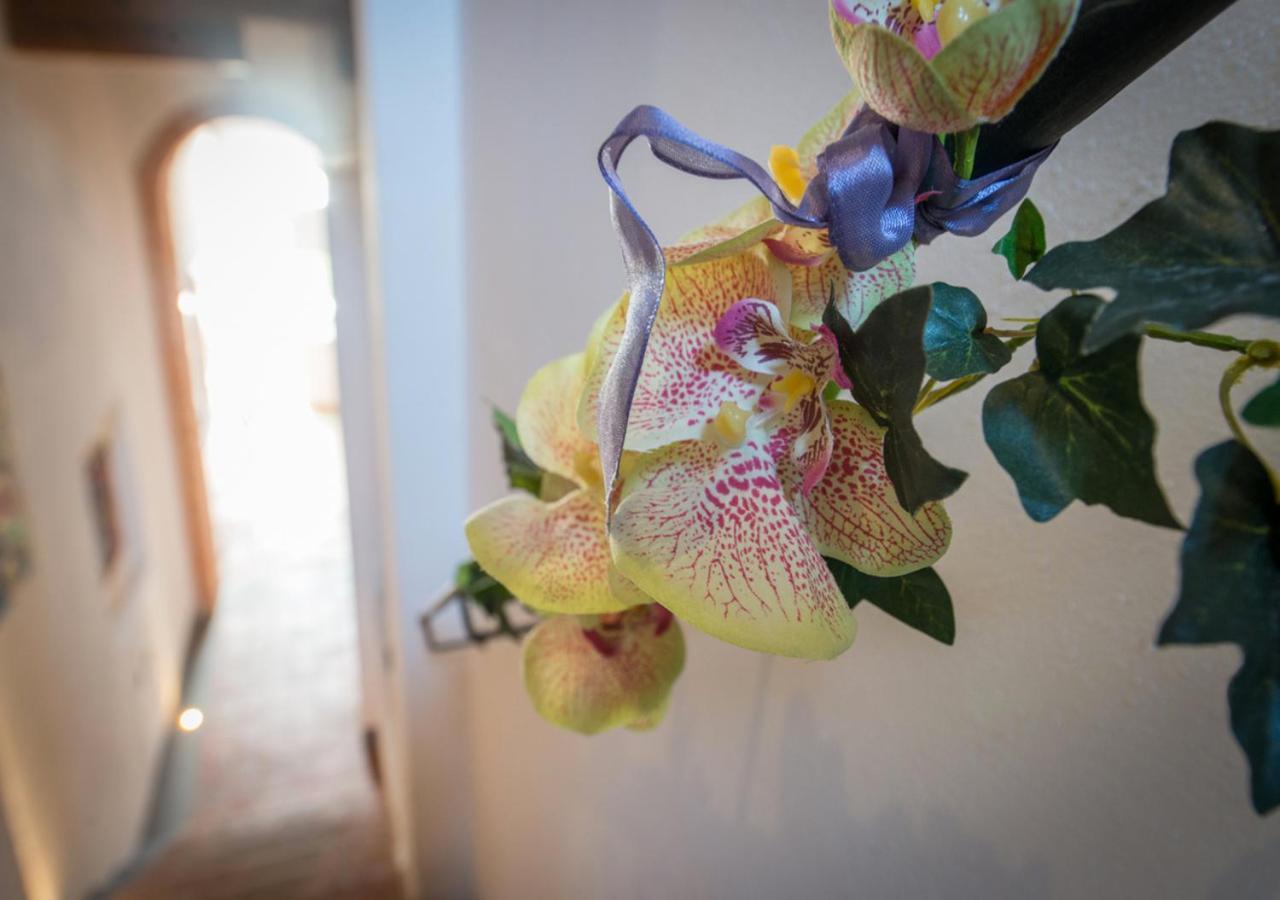 キウージ L'Albero Di Gameli Bed & Breakfast エクステリア 写真
